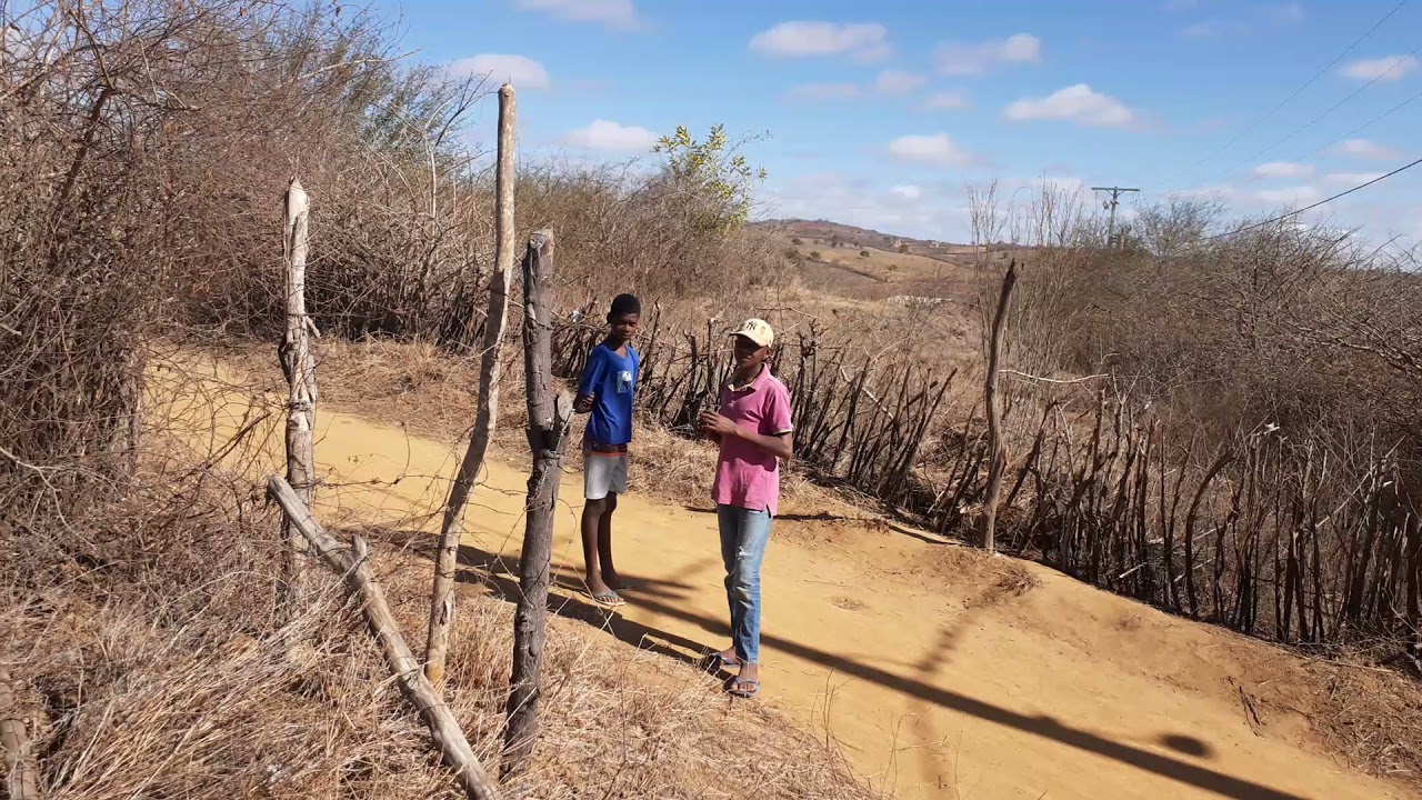 Seu Dadinha andando no sertão baiano zona rural do Caldeirão Bahia