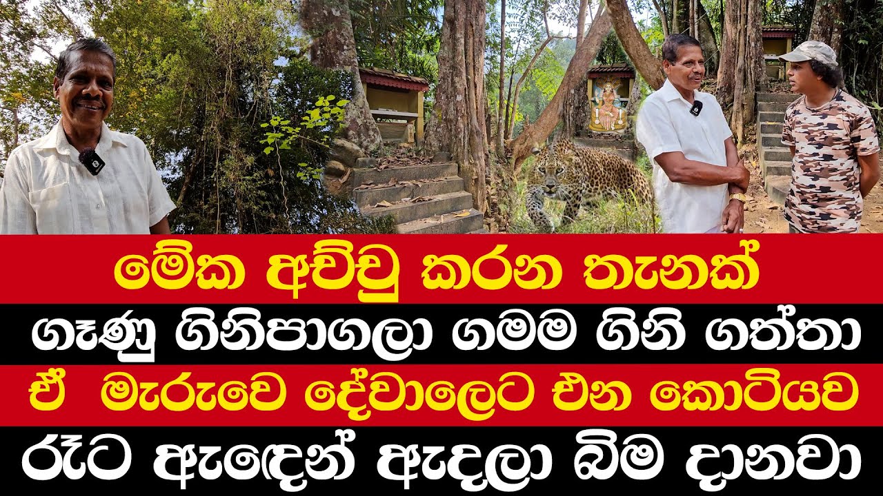 ගෑණු ගිනිපාගලා ගමම ගිනි ගත්තා | ඒ  මැරුවෙ දේවාලෙට එන කොටියව | රෑට ඇඳෙන් ඇදලා බිම දානවා