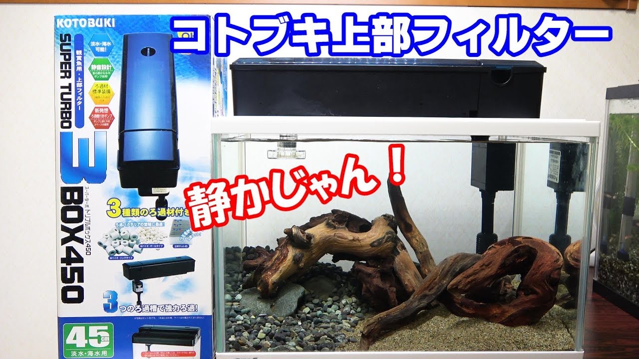 超静か！  上部フィルター設置！【ドンコ水槽#3】