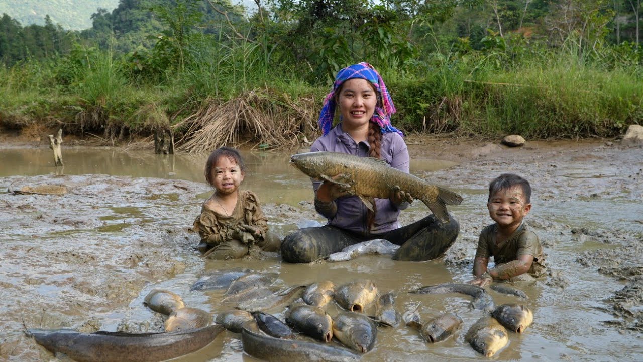 how to catch fish pond, harvest giant fish to bring to market to sell with two small children