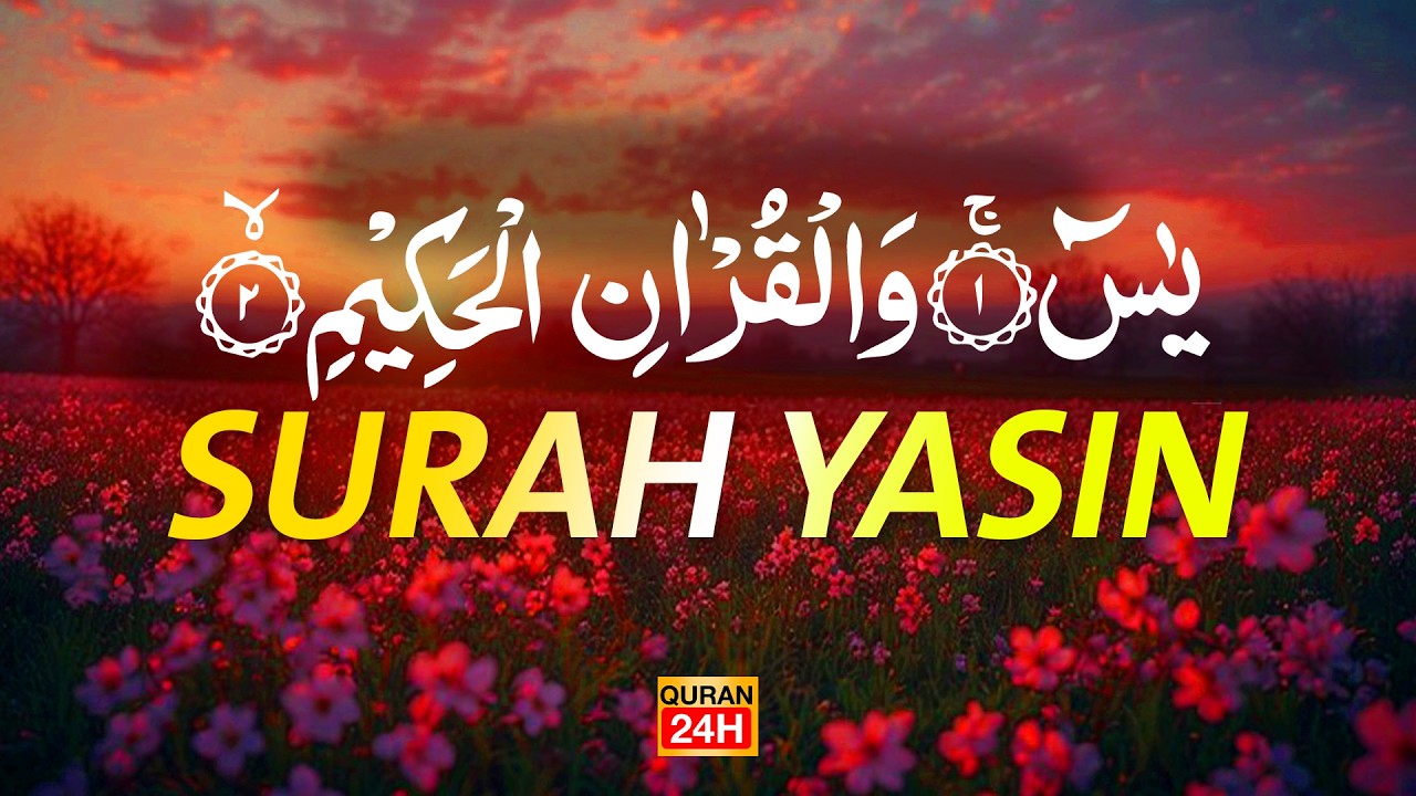 Surah Yaseen Surah Ar Rahman | Best Qur'an Recitation | Surah Yasin full | With Arabic text