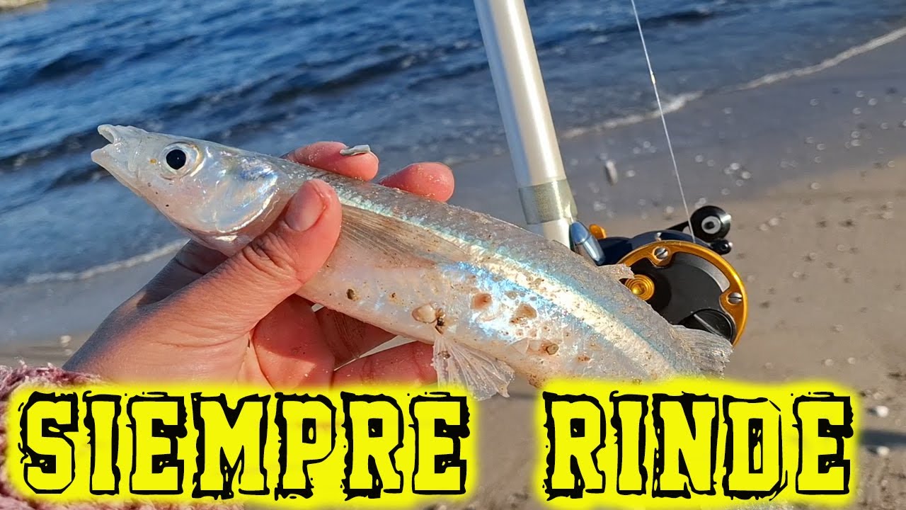 🎣LO TENES QUE CONOCER, PESQUERO SANTA LUCIA DEL ESTE