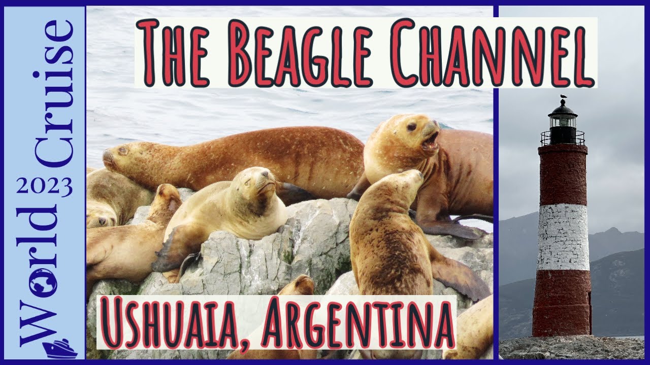 Beagle Channel Boat Trip | Sea Lions, Birds, Lighthouse | Ushuaia, Argentina