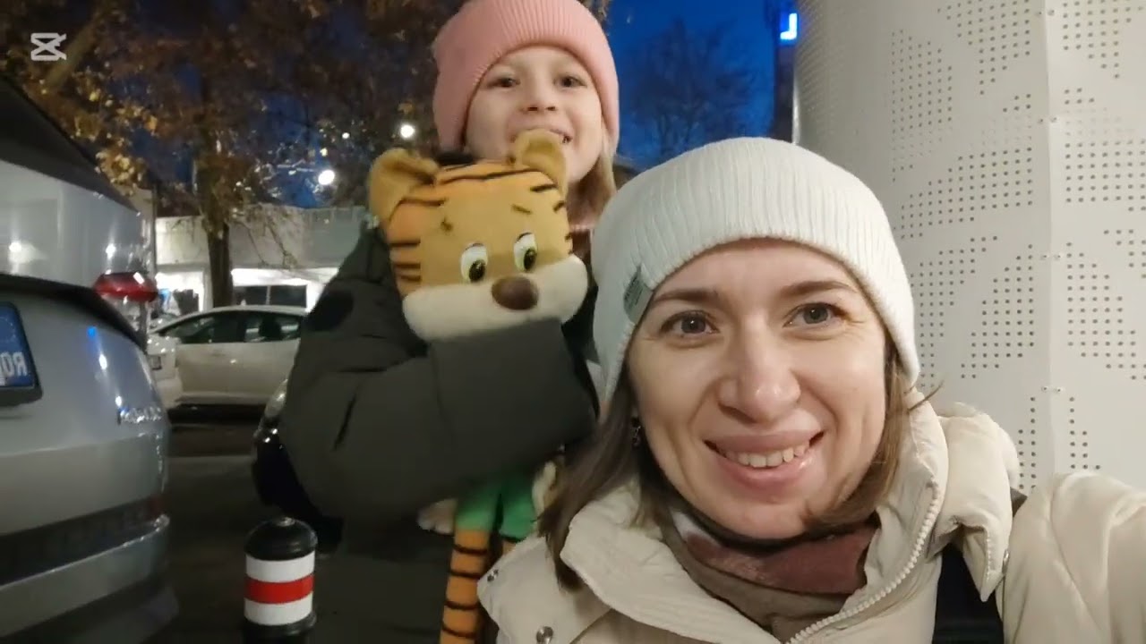 Крайова. Новогодняя ярмарка. Румыния. 2.01.2025
