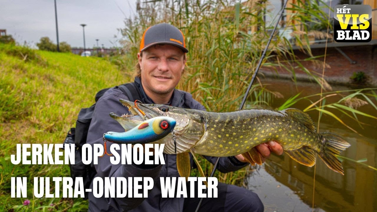 VISblad TV: snoeken met jerkbaits