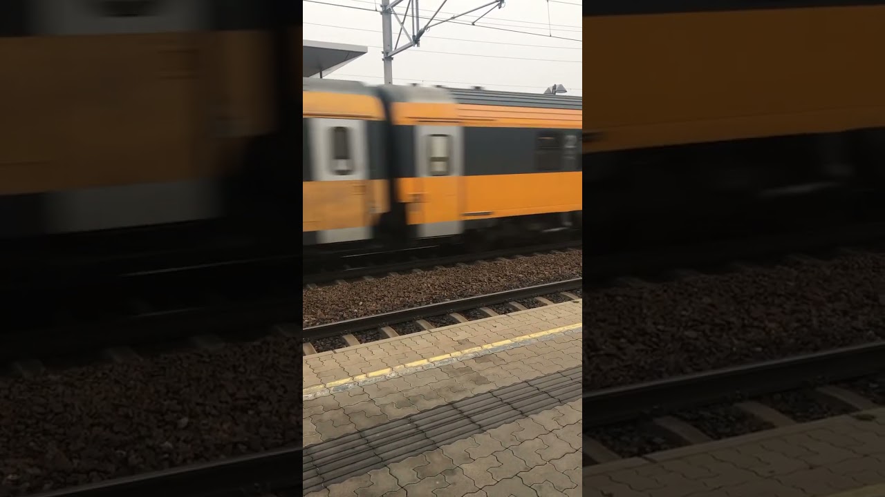 RegioJet mit einen alten DB Wagen #db #fernverkehr #zugfahrt #trainspotting #train #deutschebahn