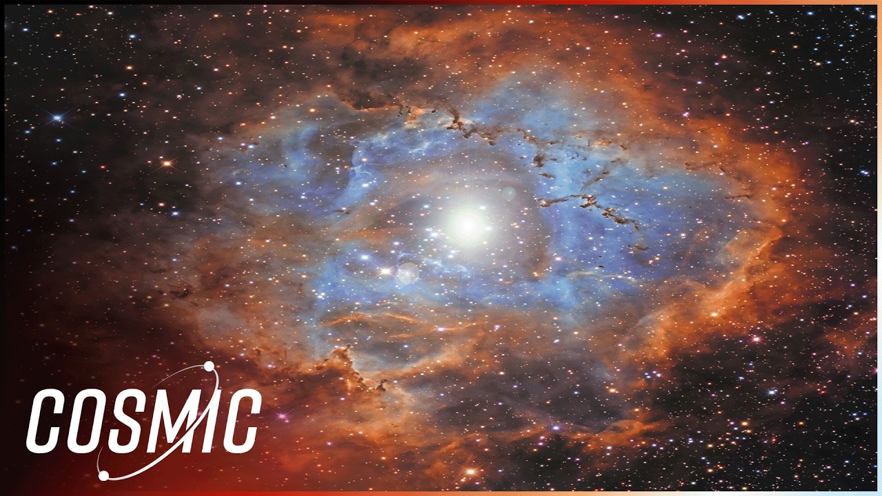 The Life Cycle Of A Star: What Can Stars Tell Us About Earth's Origins?