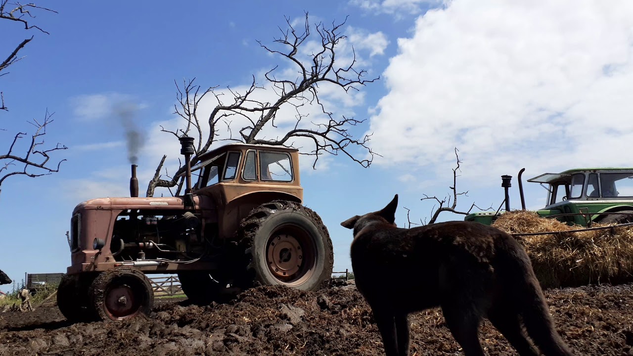 Fiat 780 y Deutz 65 en el barro.