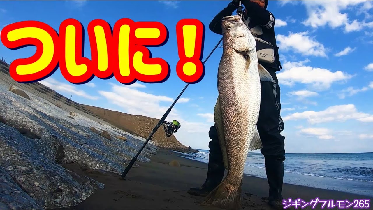 ついにオオニベを！サーフ初心者が釣った！驚愕！目前でオオニベの捕食！ジギングフルモン265