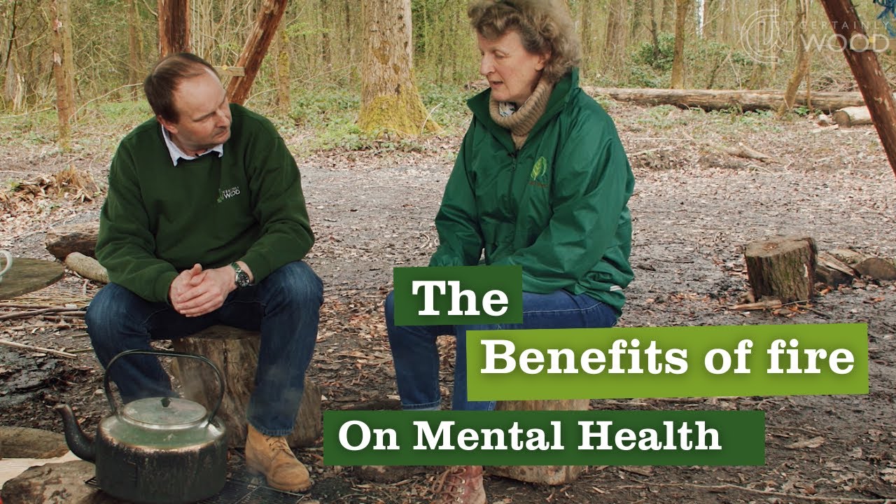 The Mental Health Benefits of a Log Burning Fire: Views From The Cart Shed