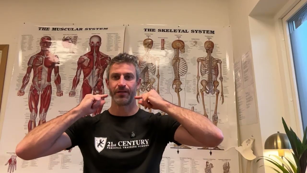 Neck anatomy
