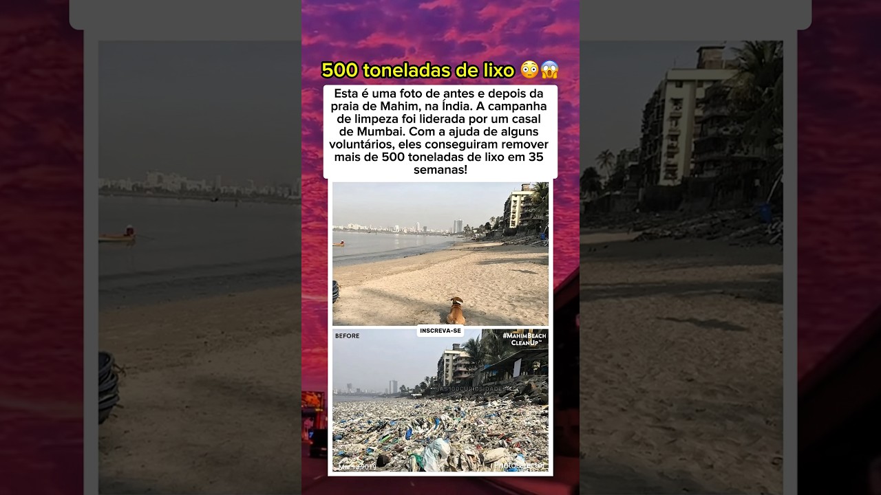 Casal limpa 500 toneladas de lixo em praia da Índia! 🌊🧹