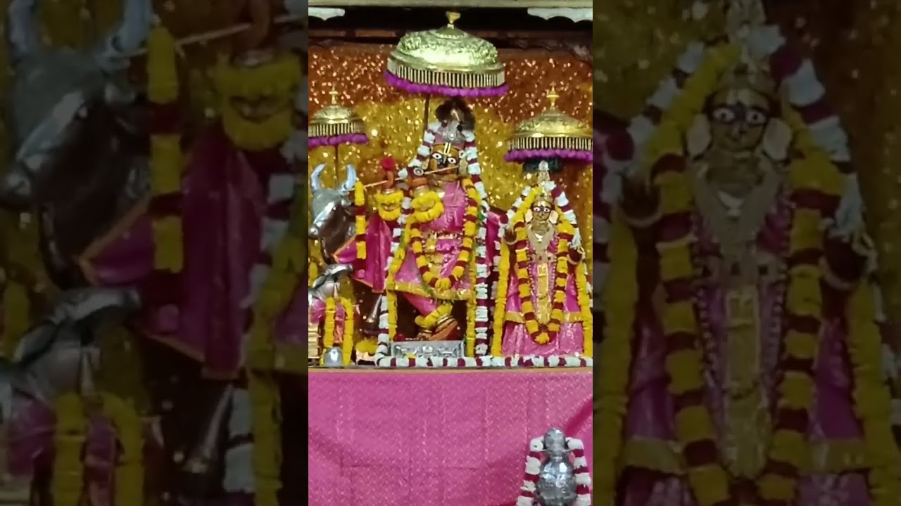 🌻 श्री गोविंद देव जी आज के दर्शन 🌻#govind dev ji live darshan today #m #today #govind #live #darshn