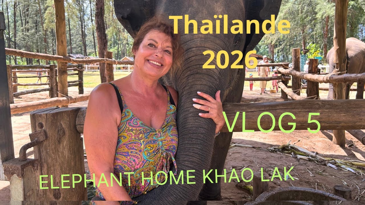 THAÏLANDE 2026 - VLOG 5 - Elephant Sanctuary 