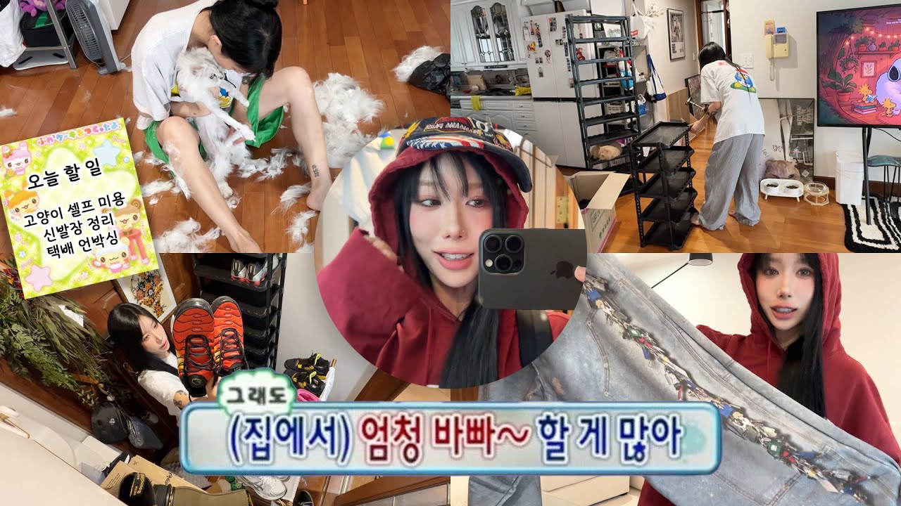 행복햏 행복햏 집에서 행복햏ㅎ 😉 / 고양이 셀프 미용 / 신발장 정리 / 택배 언박싱