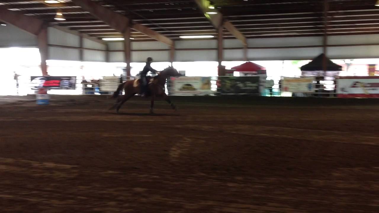 Glass of firewater R1 big j Futurity 8/2016