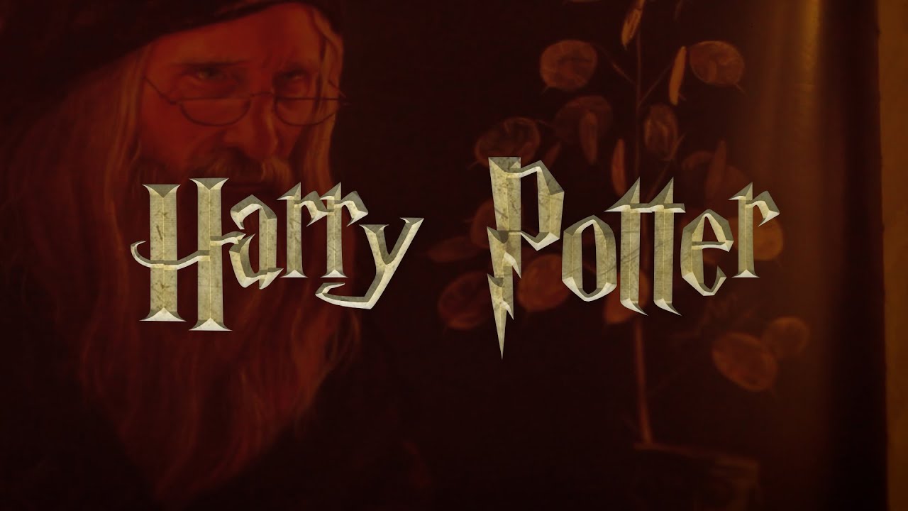 ASMR ⚡️ LENDO HARRY POTTER ATÉ VOCÊ DORMIR | A PEDRA FILOSOFAL | 010 ⚡️