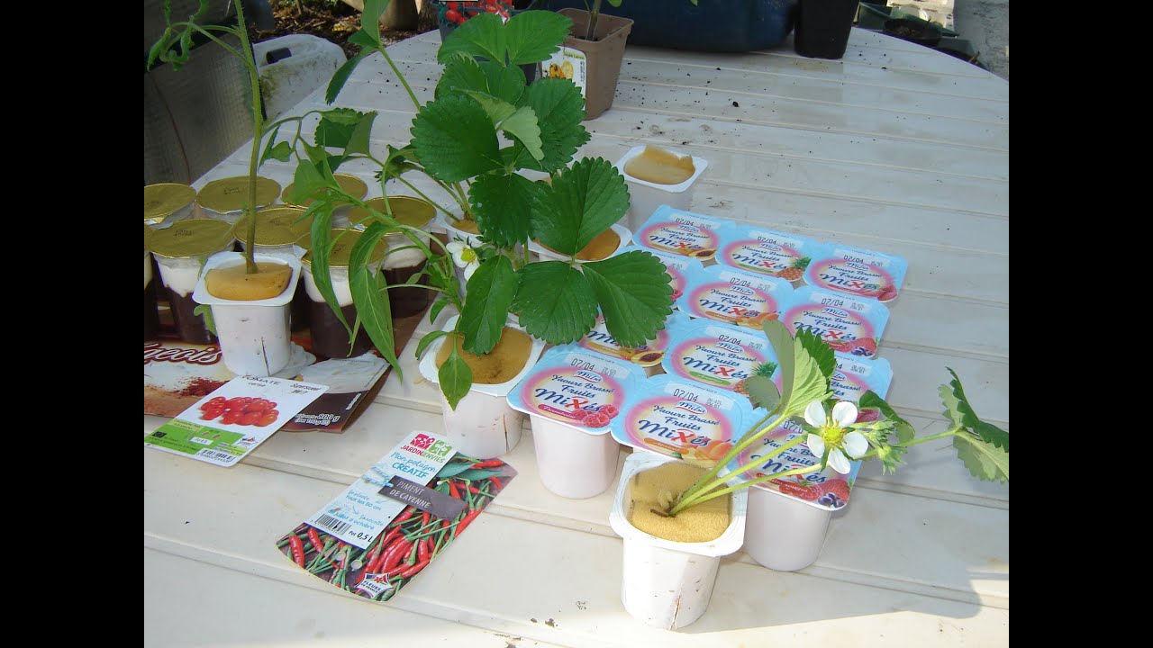 jardin secret  (20 Mars 2022 )