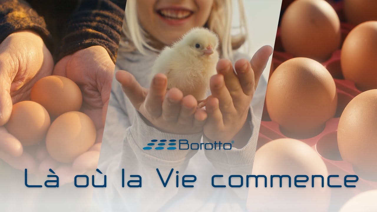BOROTTO - Le Gardien du Miracle de la Vie avec des Incubateurs Professionnels