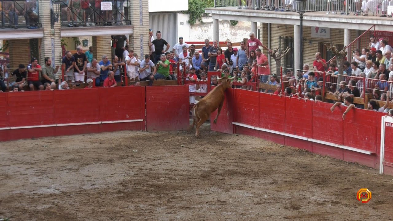 Tv Caparroso - 06/09/2022 - Fiestas - Resumen Capea Gan. Arriazu.