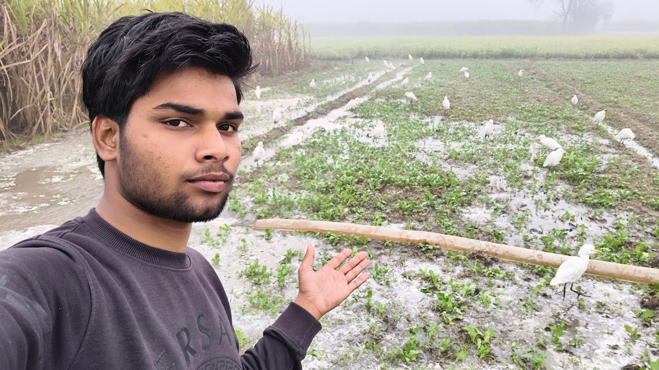 Aaj humne khet mein to baval hi kar Diya 🤣😂