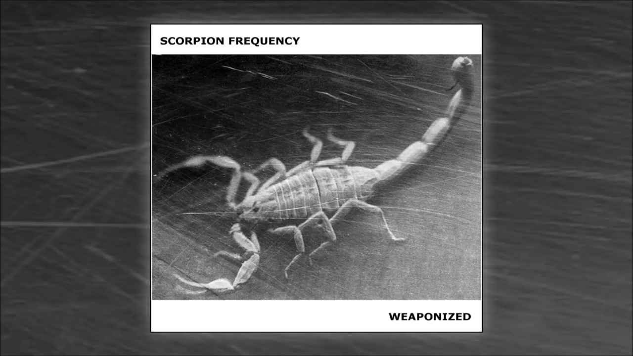 SCORPION FREQUENCY - Hyperconnected