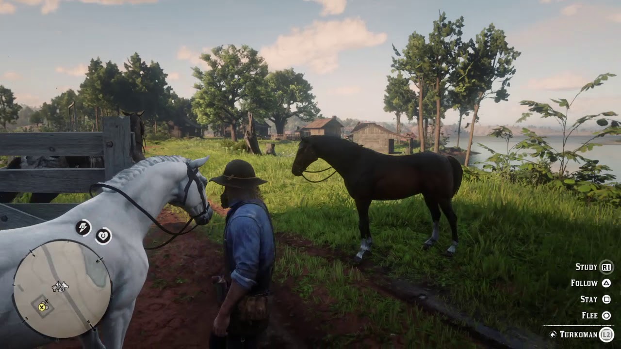 RDR2 TIPS TRICKS // How To OwN TwO BraitHwaite HorSes