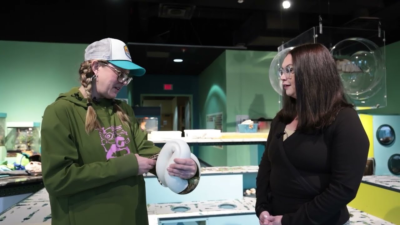Rockford’s Burpee Museum! | ADTV with Rion Tovar South #rockfordillinois #realestate #jane