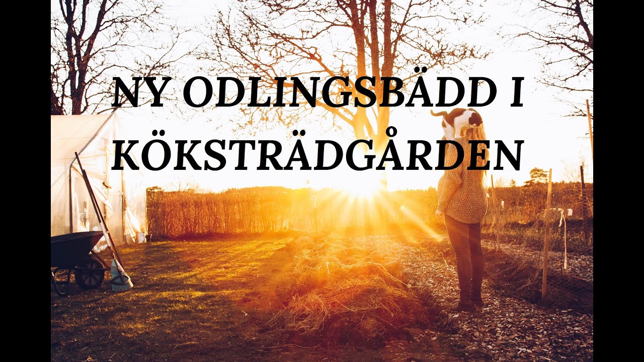 ODLINGSBÄDD AV DJUPSTRÖBÄDD, KOMPOSTJORD OCH ENSILAGE