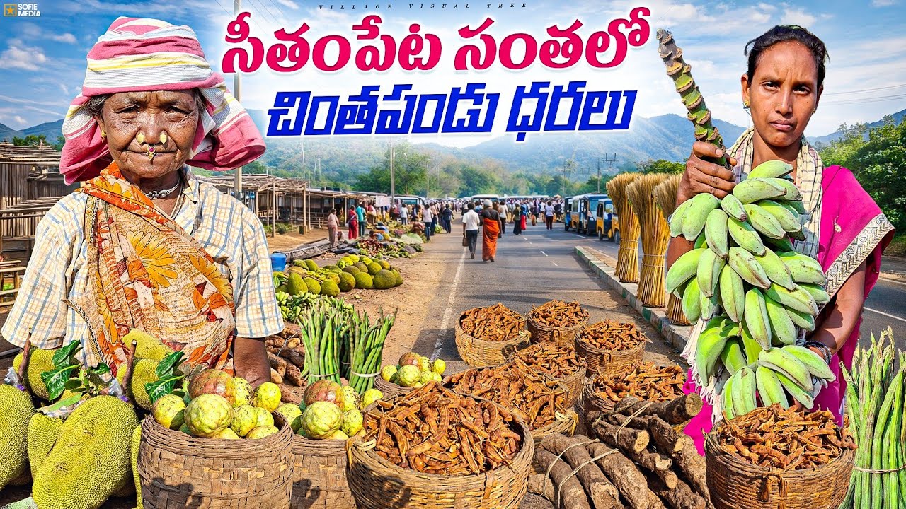 Tribal market in Seethampeta || Seethampeta weekly market