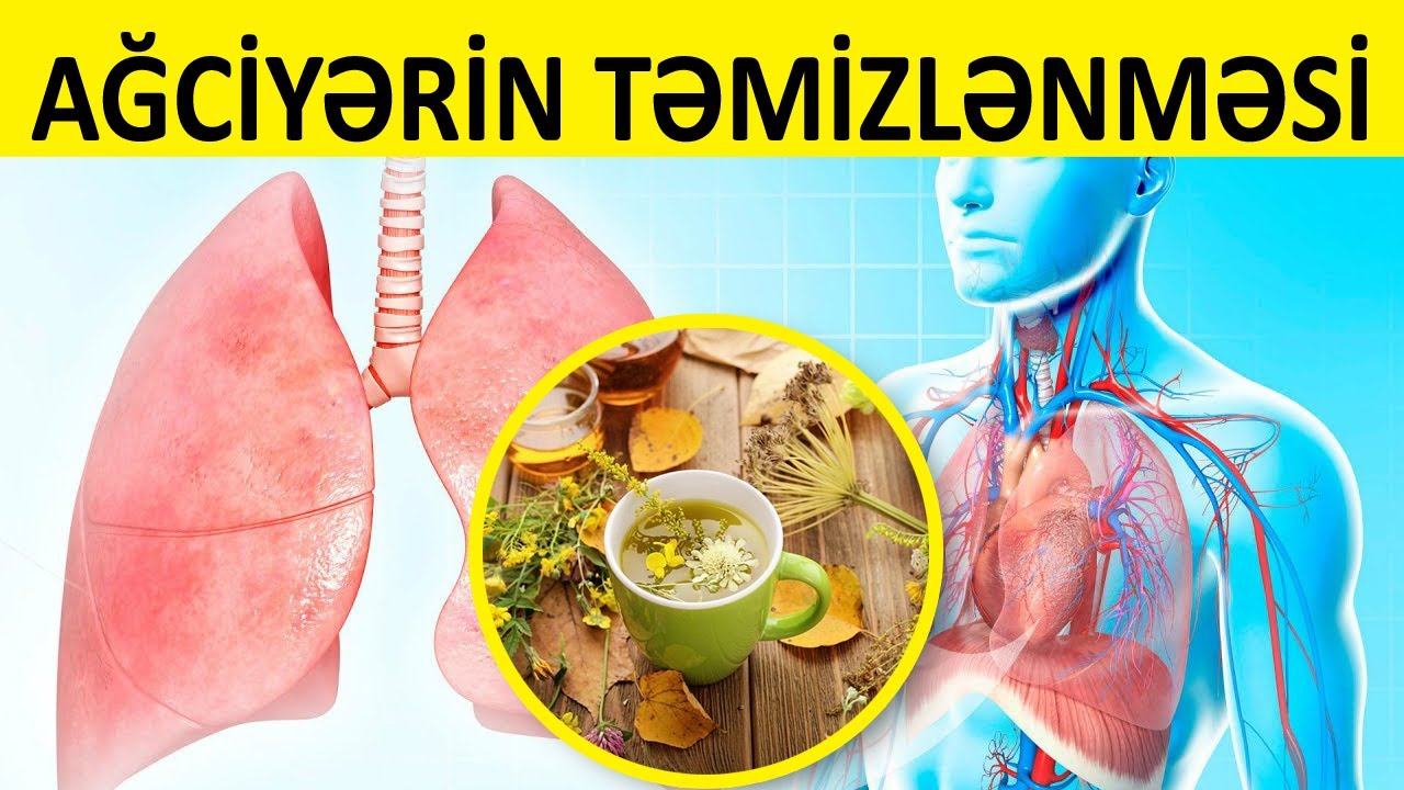 Ağciyəri təmizləmək üçün ən yaxşı 7 ÜSUL