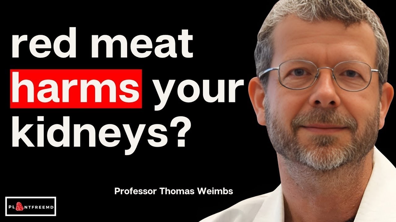 🔴 Too Much Meat Will DESTROY The Kidneys? Here Are The Facts! | Professor Thomas Weimbs