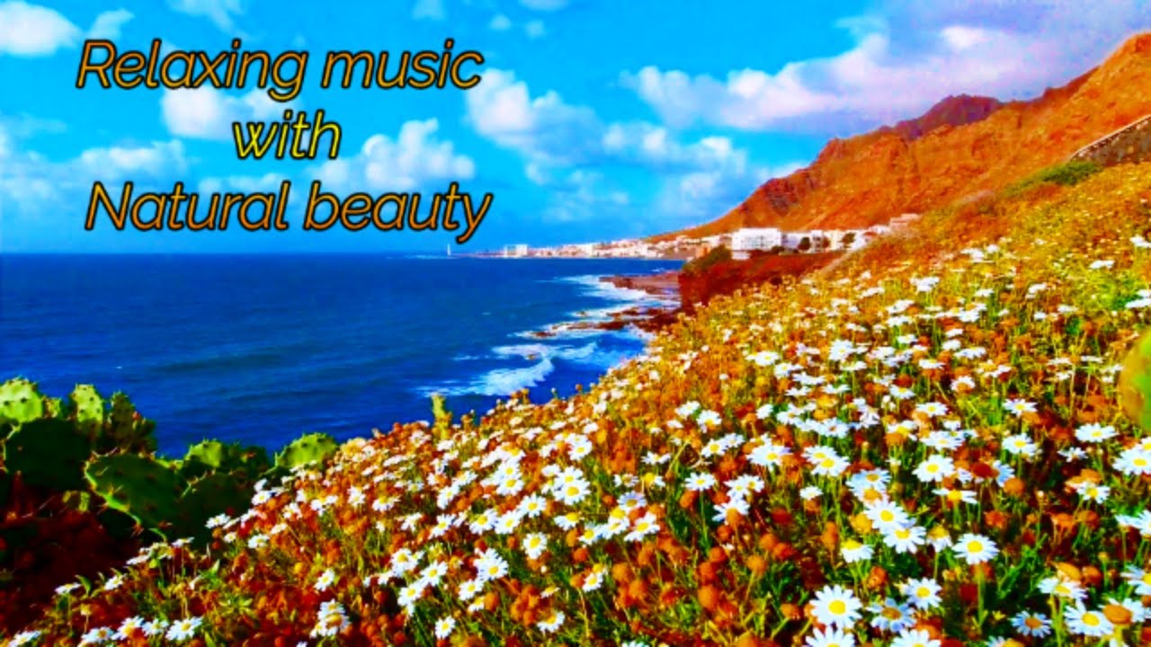 Peace of Mind 24x7 Relaxing Music, Deep Sleep Music, Stress Relief Music, Meditation Music
