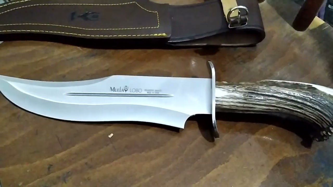 MUELA LOBO 23 SR - SHIRT REVIEW!