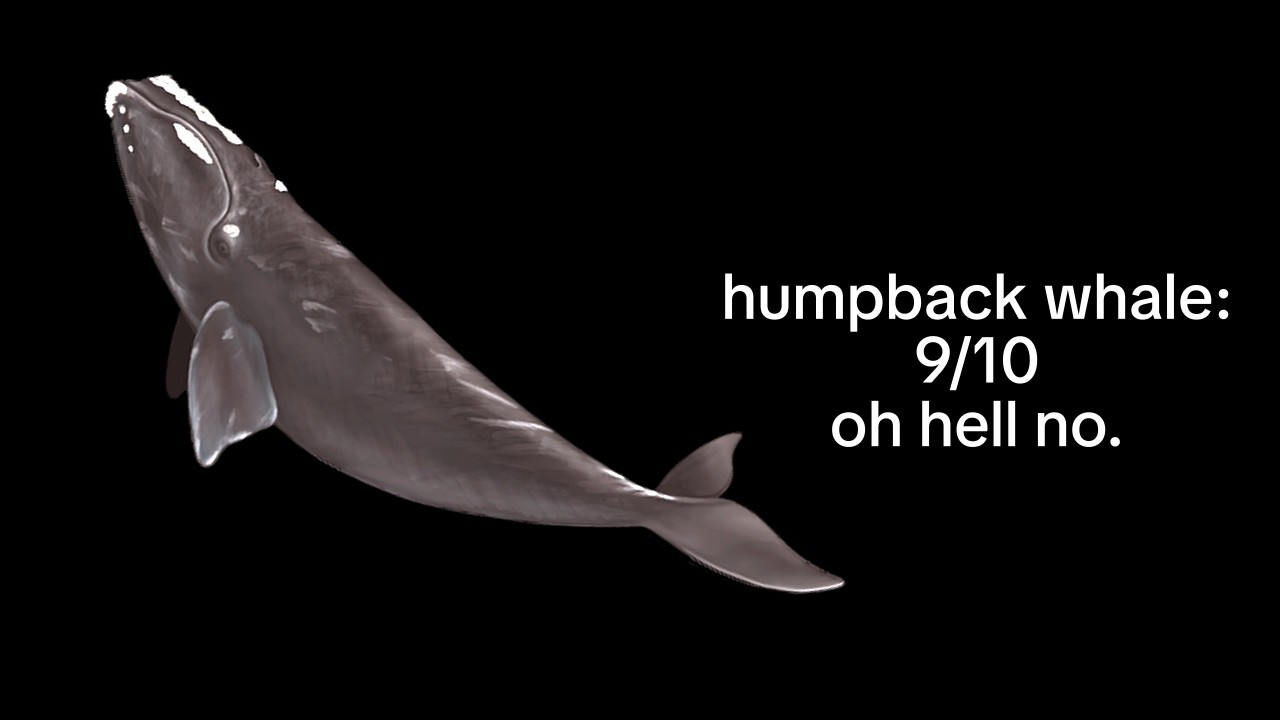 ranking deep ocean sounds by scariness