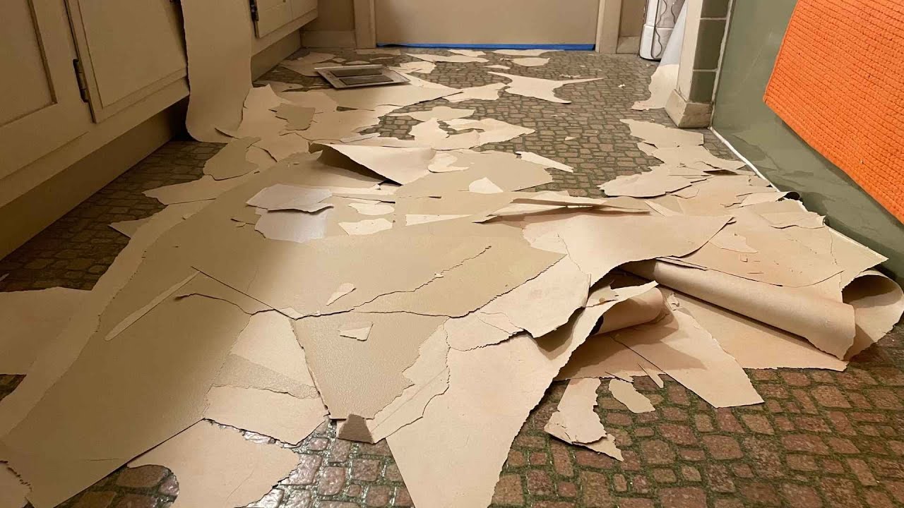 True to Form, the House Chooses the Next Project! This time it's the bathroom ceiling!