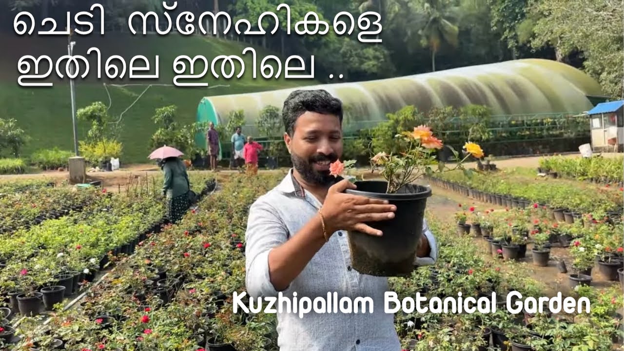 KUZHIPALLLAM BOTANICAL GARDEN #dailyvlog #kuzhippallam #botanicalgarden  