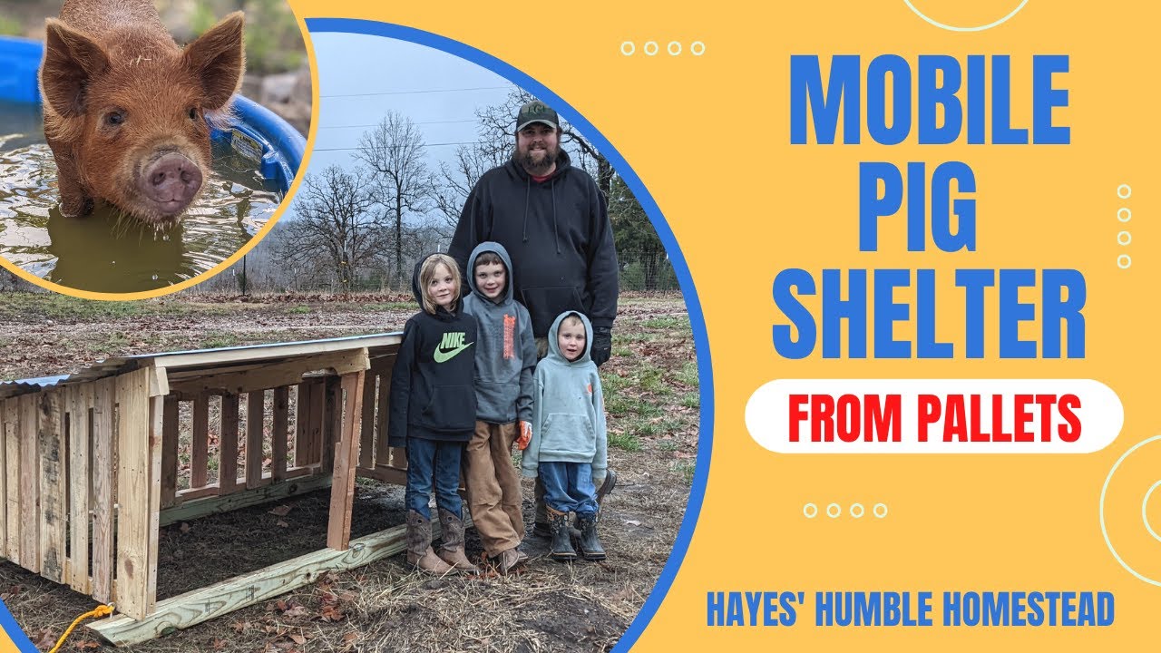 MOBILE PIG PALACE FROM PALLETS | DIY PIG SHELTER | MOBILE PIG SHELTER FOR PASTURED PIGS
