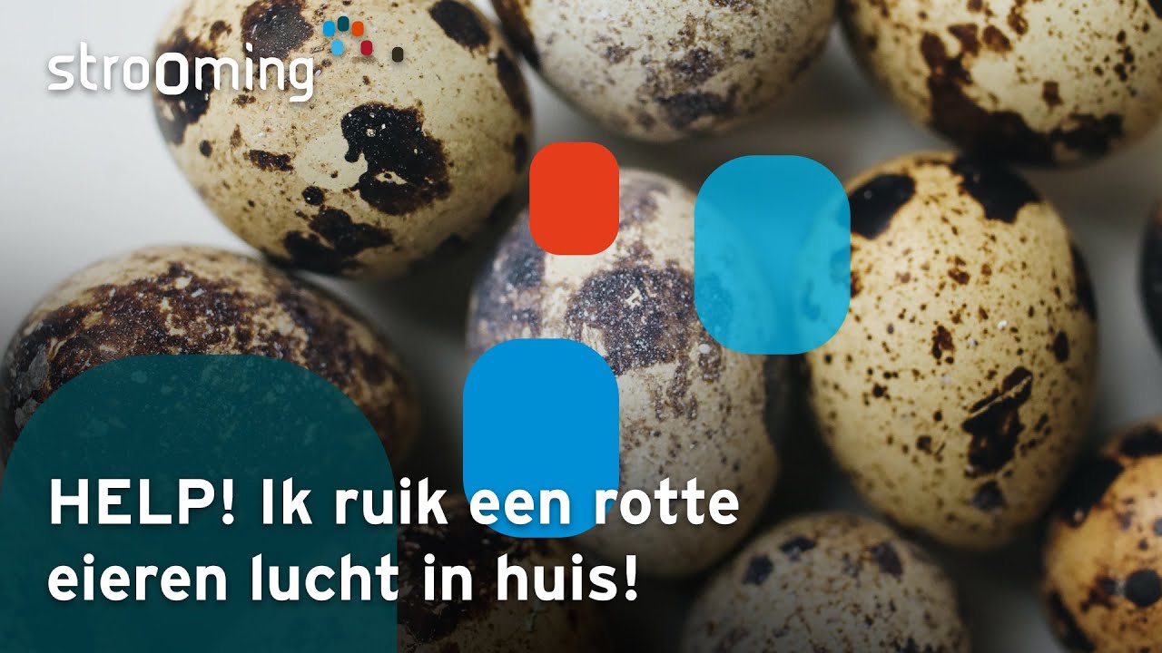 HELP! Ik Heb Een Rotte Eieren Lucht In Huis!
