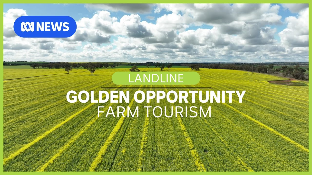 The golden opportunity of agricultural tourism | Landline | ABC News