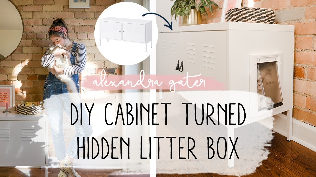 DIY Cabinet To Hide Cat Litter Box In A Small Space | Pet Tips