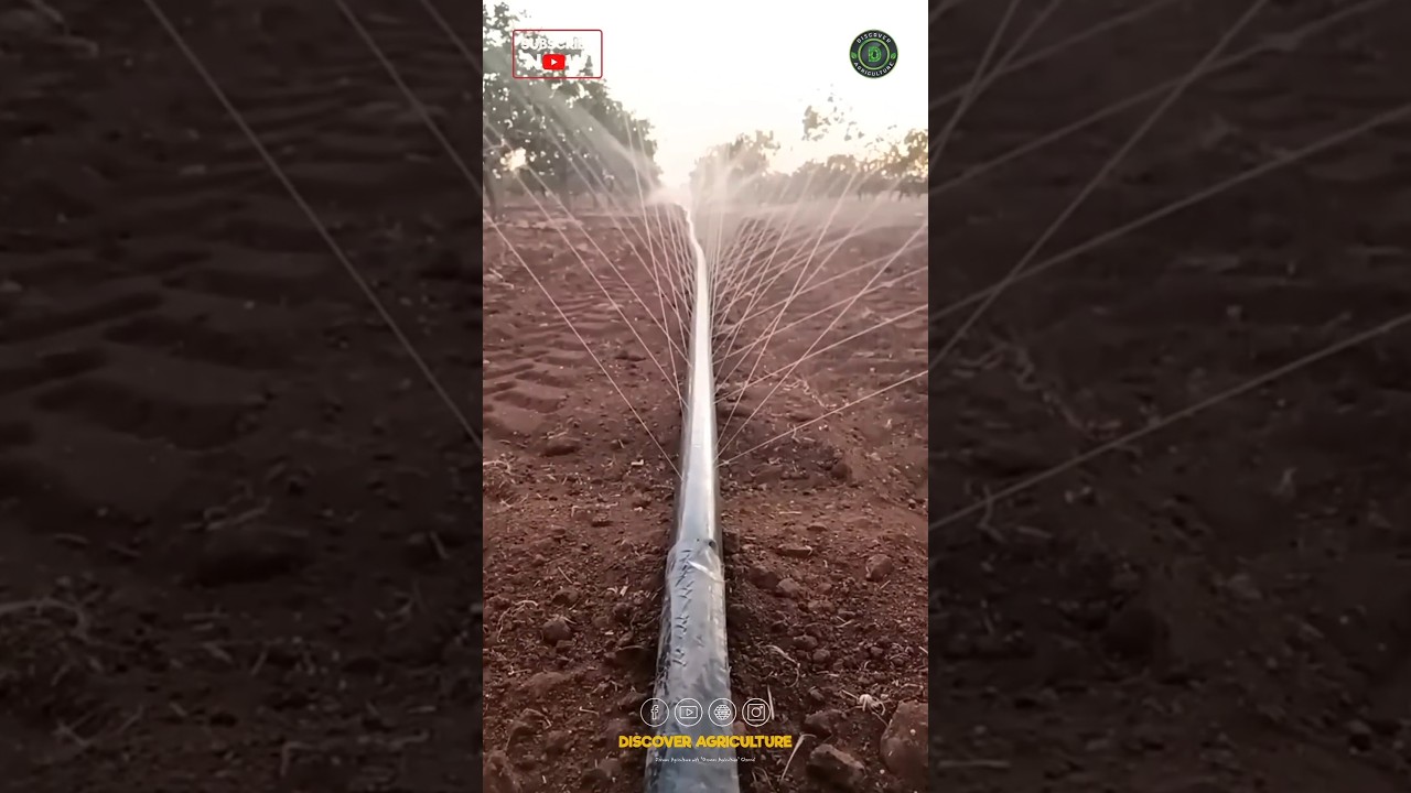 Amazing Agriculture Rine Irrigation System