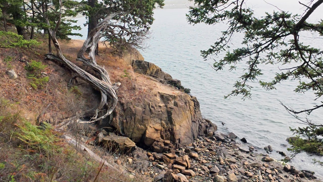 Anacortes-Washington Park Trail 502