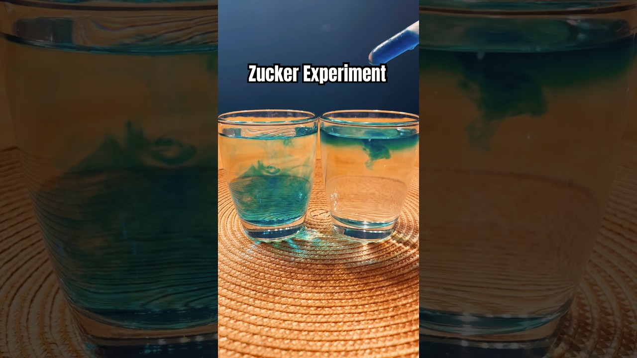 DIY Zucker Experiment #kindergarten #funforkids #kidscrafts #experiment #forkids #diy #science #kids