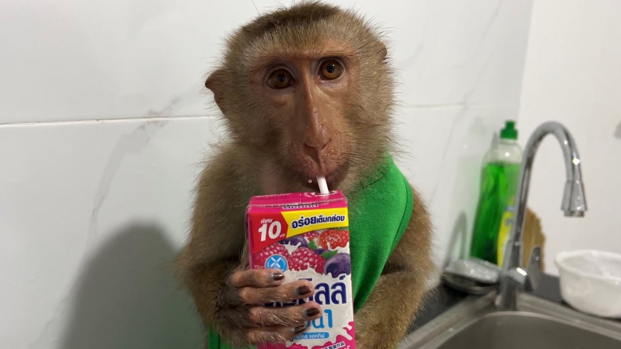 Strawberry flavor is the most favorite to Jessi