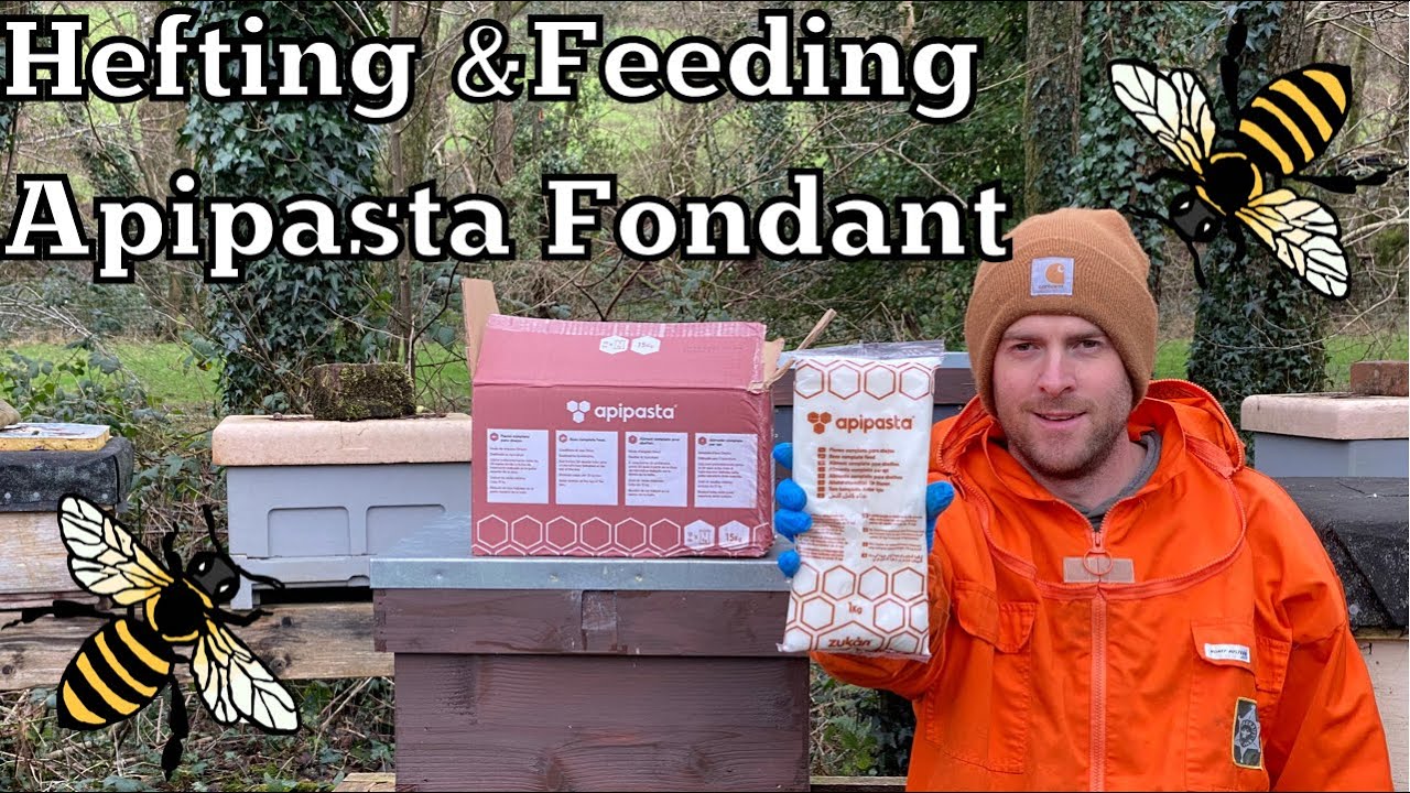 Feeding Bees Apipasta Fondant Sugar In Winter