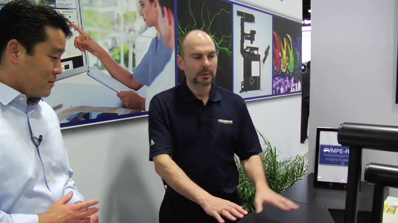 Olympus FVMPE-RS Laser Scanning Microscope Demo