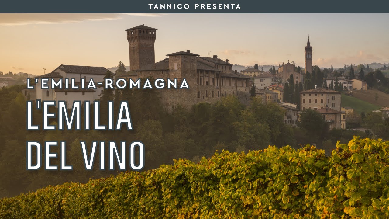Introduzione all'Emilia del vino | Tannico Flying School