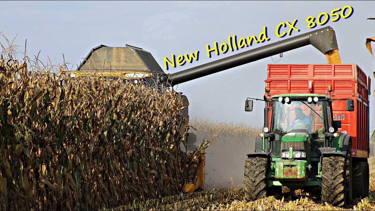 New Holland CX 8050 - Trebbiatura mais 2014 - Adami G.