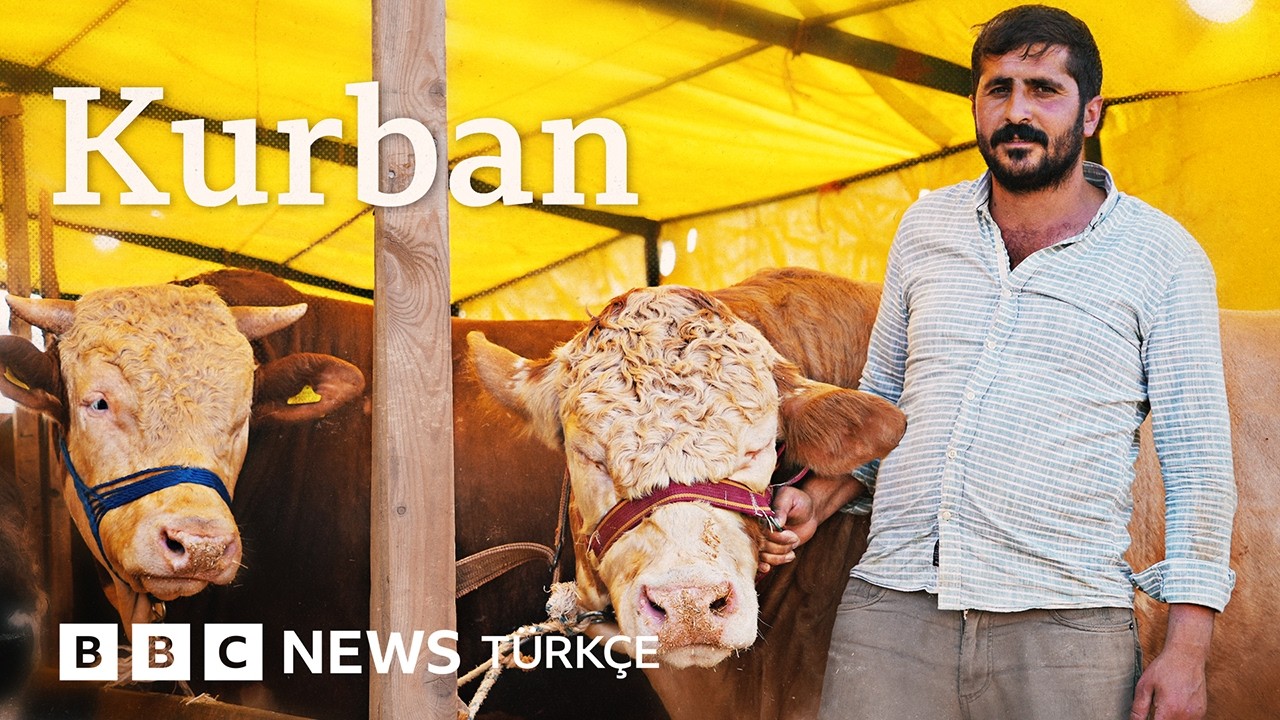 Kurban pazarında bir gün: “Çobanlara kız vermiyorlar”